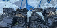 В Улан-Удэ образовалась свалка-магнит - ИА Байкал-Daily