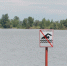 В Алтайском крае очередная трагедия на воде унесла жизнь мужчины - Комсомольская Правда