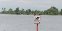 В Алтайском крае очередная трагедия на воде унесла жизнь мужчины - Комсомольская Правда