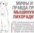 Как обезопасить себя от геморрагической лихорадки с почечным синдромом? - Красногорский район УР