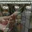 Свыше 3 тысяч предметов сделали ставропольцы для бойцов СВО с начала года - Вечерний Ставрополь