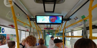 Автобусы Ижевска замрут на одну минуту 22 июня - Сусанин