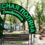 Первая смена стартовала в летнем лагере «Лесная поляна» в Ставрополе - ИА Победа 26