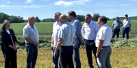 На полях хозяйства «Урюмское» села Верх-Урюм Здвинского района - Законодательное собрание