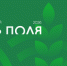 «Всероссийский день поля – 2026» представит передовые достижения российского АПК - Министерство сельского хозяйства