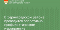 В Зерноградском районе проводится оперативно-профилактическое мероприятие «Встречная полоса» - Зерноградский район