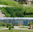 blank_2_grids_collage_4_1.jpg - Город Амурск