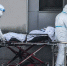 Опасная вспышка: число заболевших Эболой в Конго растет - Кубанские Новости