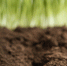 close-up-natural-soil-grass - Газета Восход
