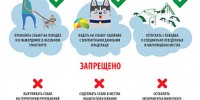 Памятка для владельцев домашних животных - Тверской район