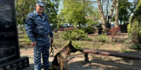 21 июня — День кинологической службы МВД России! - Отдел МВД России по Кореновскому району