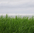 Александр Дрозденко пожелал жителям Ленобласти хорошей недели и поделился видами Ладоги - Online47.Ru