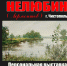 Открытие выставки «Эхо момента» (12+) - Централизованная библиотечная система