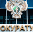 Многодетной семье в Тульской области обеспечат все коммуникации на участке - ТК Первый Тульский
