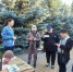 «Белгородское лето» продолжается - Сетевое издание Ровеньская нива