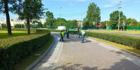 За неделю с улиц Петербурга вывезли для утилизации 1,6 тысячи кубометров мусора - Spbdnevnik.ru
