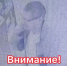 JPEG Файл - УМВД Тюменской области