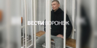 В Воронеже мажора Гусева приговорили к 9 годам колонии за смертельное ДТП - ГТРК Воронеж