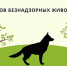 Отлов безнадзорных животных. - Бабынинский район
