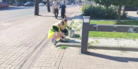 Сегодня продолжаются плановые работы по поддержанию порядка в парках и скверах города. - Город Курск