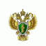 Проведена проверка  соблюдения требований природоохранного законодательства в отношении местного индивидуального предпринимателя, осуществляющего выращивание саженцев декоративных культур.. - Ровеньский район
