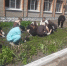 В Вадинском районе  в  лагере труда и отдыха стартовала вторая смена - Вадинский район