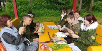 Исследование хвойного леса провели ступинские школьники - Городской округ Ступино