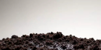 Новочеркасск в лидерах антирейтинга городов по микробиологическому загрязнению - DonDay.Ru