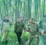 В Кстовском лесничестве проверили качество проведения полевых работ по таксации лесов и проектированию мероприятий по сохранению лесов - Министерство лесного хозяйства