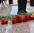 efd601ba-5400-4d49-8459-a4eb8866f2ef.jpg - Ртищевский район
