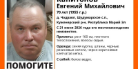 В Марий Эл ищут пропавшего вчера 70-летнего мужчину - Марийская правда