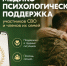 Орловские участники СВО могут обратиться за помощью через медико-психологический чат поддержки - InfoOrel.Ru