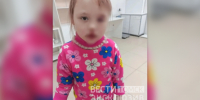 Суд вынес решение: чем закончилось дело о нападении собаки на ребенка в Томске - ГТРК Томск