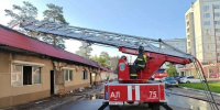 «Нам важно, чтобы их забрали»: сто кошек едва не погибли в пожаре в Татарстане - ИА Татар-информ
