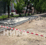 Первыми благоустройство улицы Чичерина в Калуге оценили голуби - Телерадиокомпания Ника