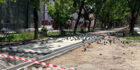 Первыми благоустройство улицы Чичерина в Калуге оценили голуби - Телерадиокомпания Ника