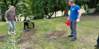 Напротив «Дубравы» в Брянске появились новые кусты жасмина и сирени - Газета Брянские новости
