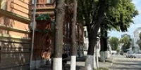 В Уфе на Советской старые деревья заменят новыми крупномерными липами - Башинформ
