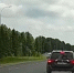 Лось выскочил на дорогу в Прионежском районе - StolicaOnego.Ru