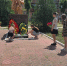 В День памяти и скорби состоялось возложение цветов в городе Счастье - Город Луганск
