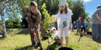 В День памяти и скорби в Кстовском районе Нижнего Новгорода высадили аллею из 30 лип - Министерство лесного хозяйства
