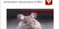 Геморрагическая лихорадка с почечным синдромом - Администрация Ейского района