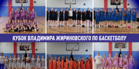 img - ЛДПР