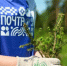 «Почтовый лес» появился ещё в шести регионах - Газета Севская правда
