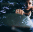Какие изменения ждут водителей в Новосибирской области с 1 июля: новые штрафы и правила - Сиб.фм
