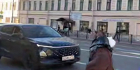 Испуганная лошадь носилась по центру Петербурга и едва не сбила прохожих - Комсомольская правда