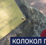 Вести 24 - ГТРК Санкт-Петербург