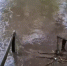 Паводок в Бугуруслане: вода разрушила мост, по которому школьники бежали на уроки - Ria56.Ru