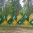 23.06.2026 | Минприроды Тверской области провело познавательное занятие о природе Тверского края в детском лагере «Дружба» - Министерство природных ресурсов и экологии