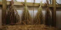 Волгоградская правда - Газета Волгоградская правда